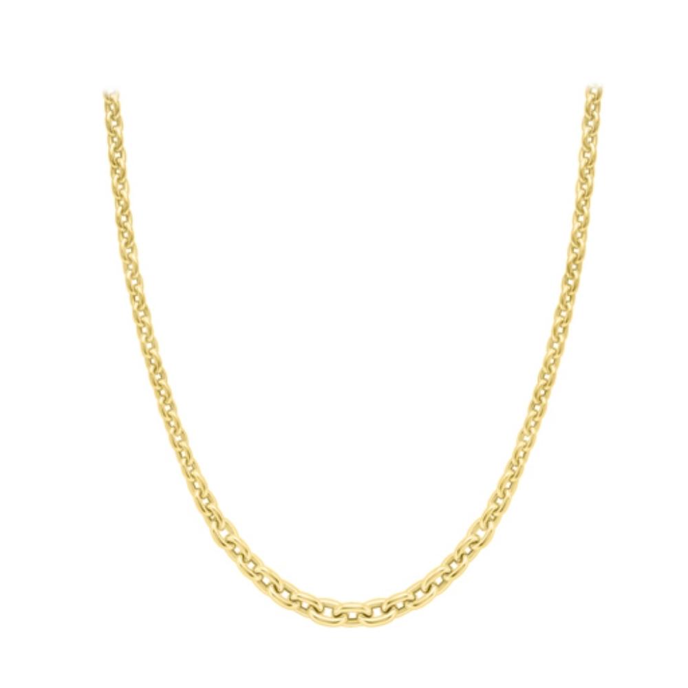 Yellow Gold Graduated Link Necklace