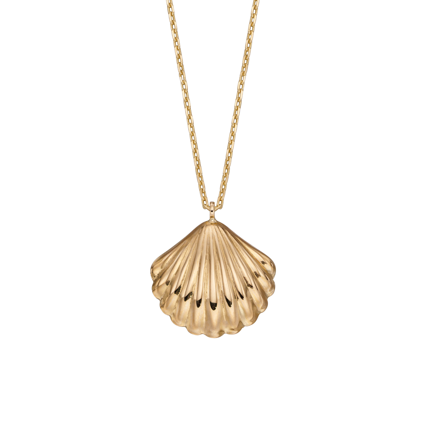 Yellow Gold Shell Necklace