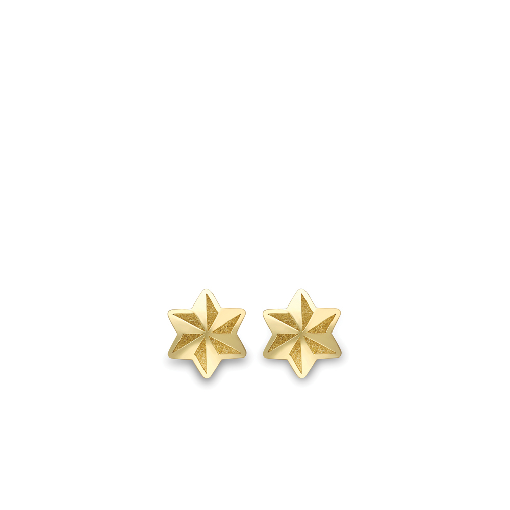 Yellow Gold Star Pattern Stud Earrings