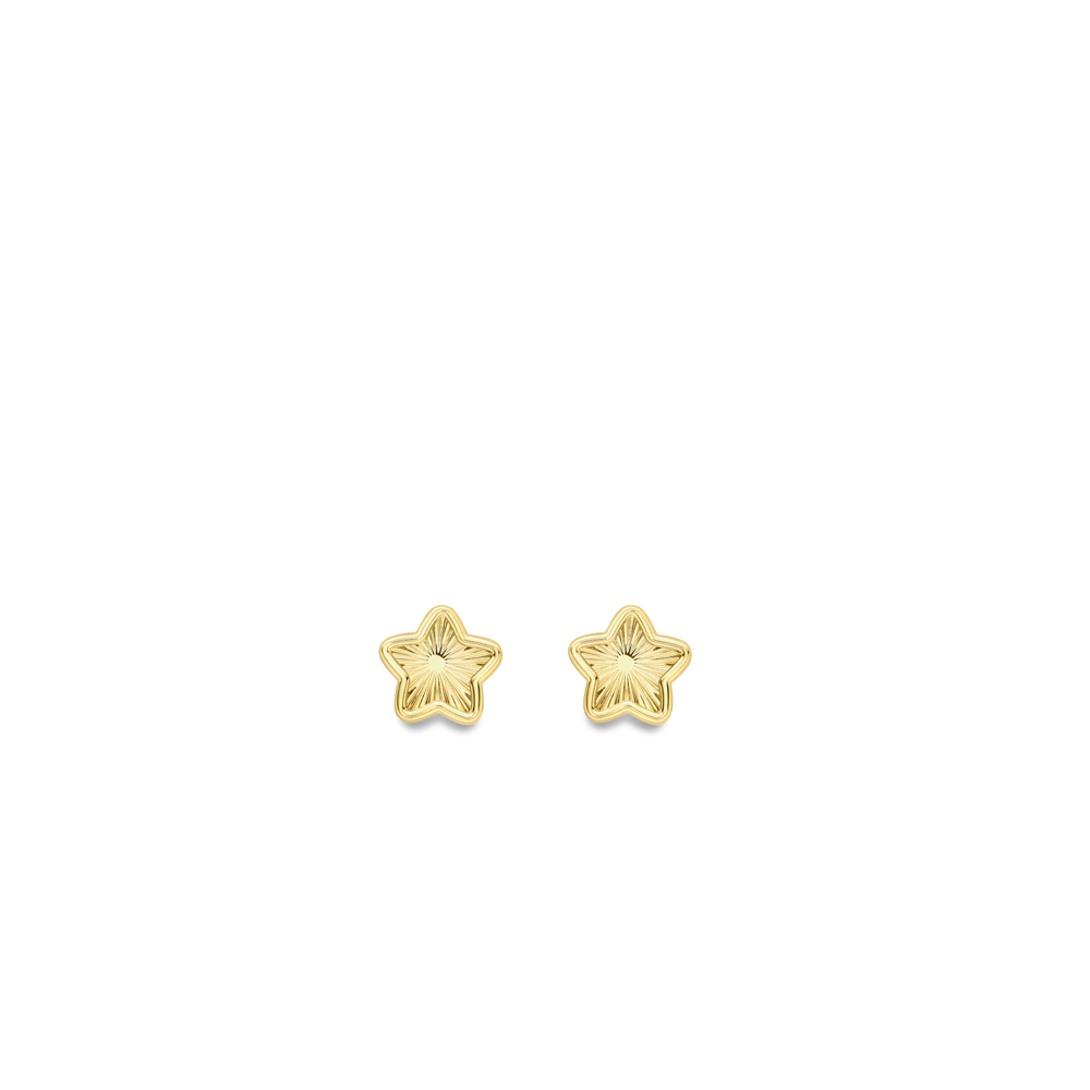 Yellow Gold Diamond-Cut Star Stud Earrings