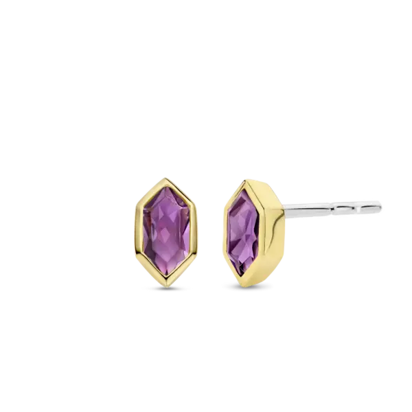 Ti Sento Hexagon Stud Earrings - Purple & Gold