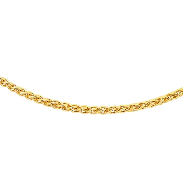 Gold Spiga Chain Necklace