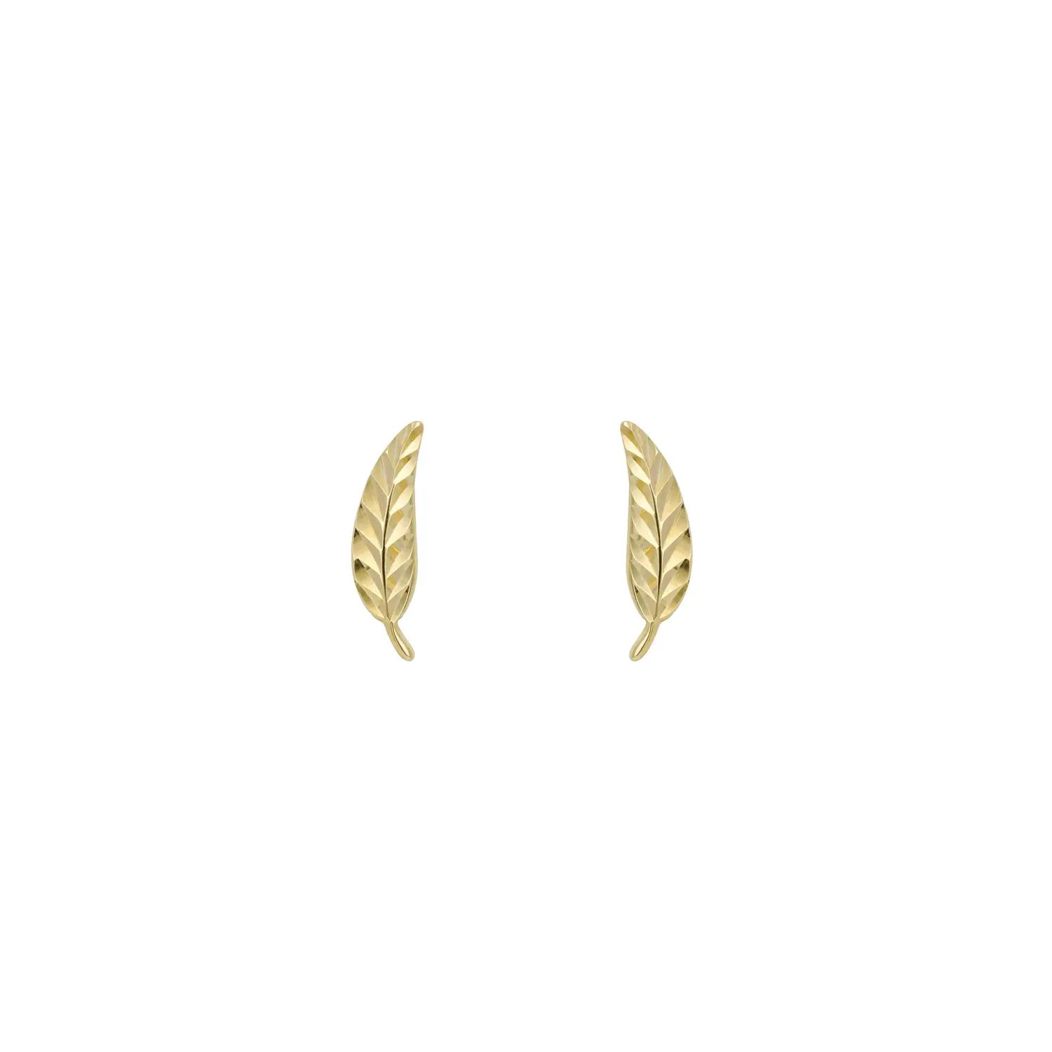 Yellow Gold Feather Stud Earrings